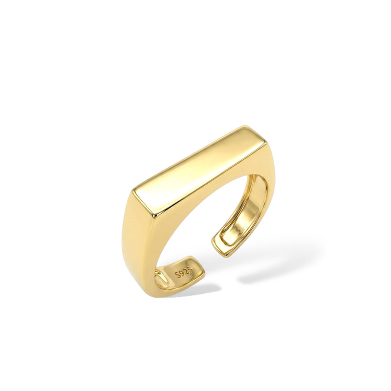 Bague Pinta (Ajustable) - Plaqué Or 18k