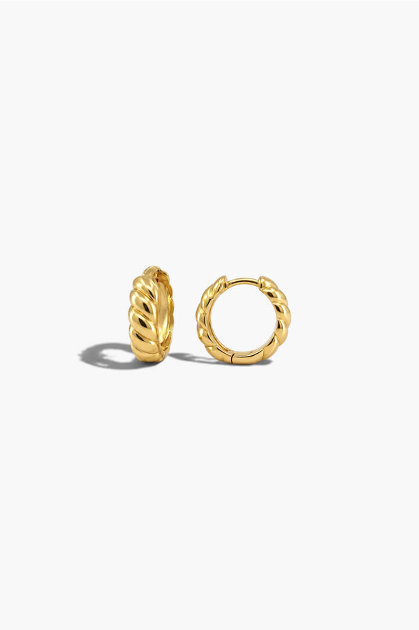 Elegance Earrings - White Gold Plated Silver
